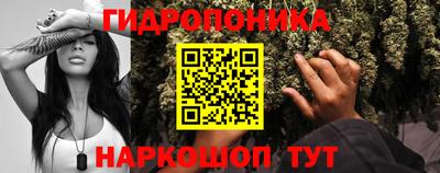 гидра Мариинск