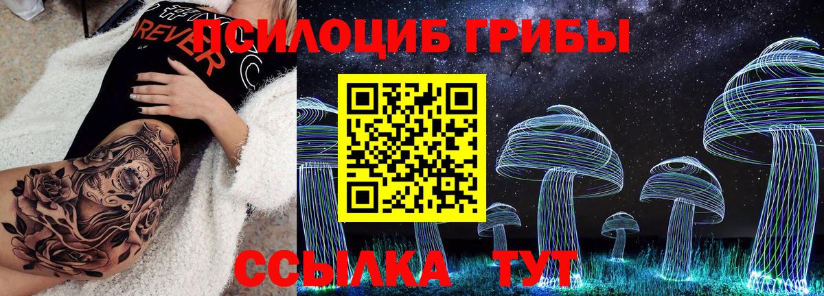 Галлюциногенные грибы GOLDEN TEACHER Будённовск